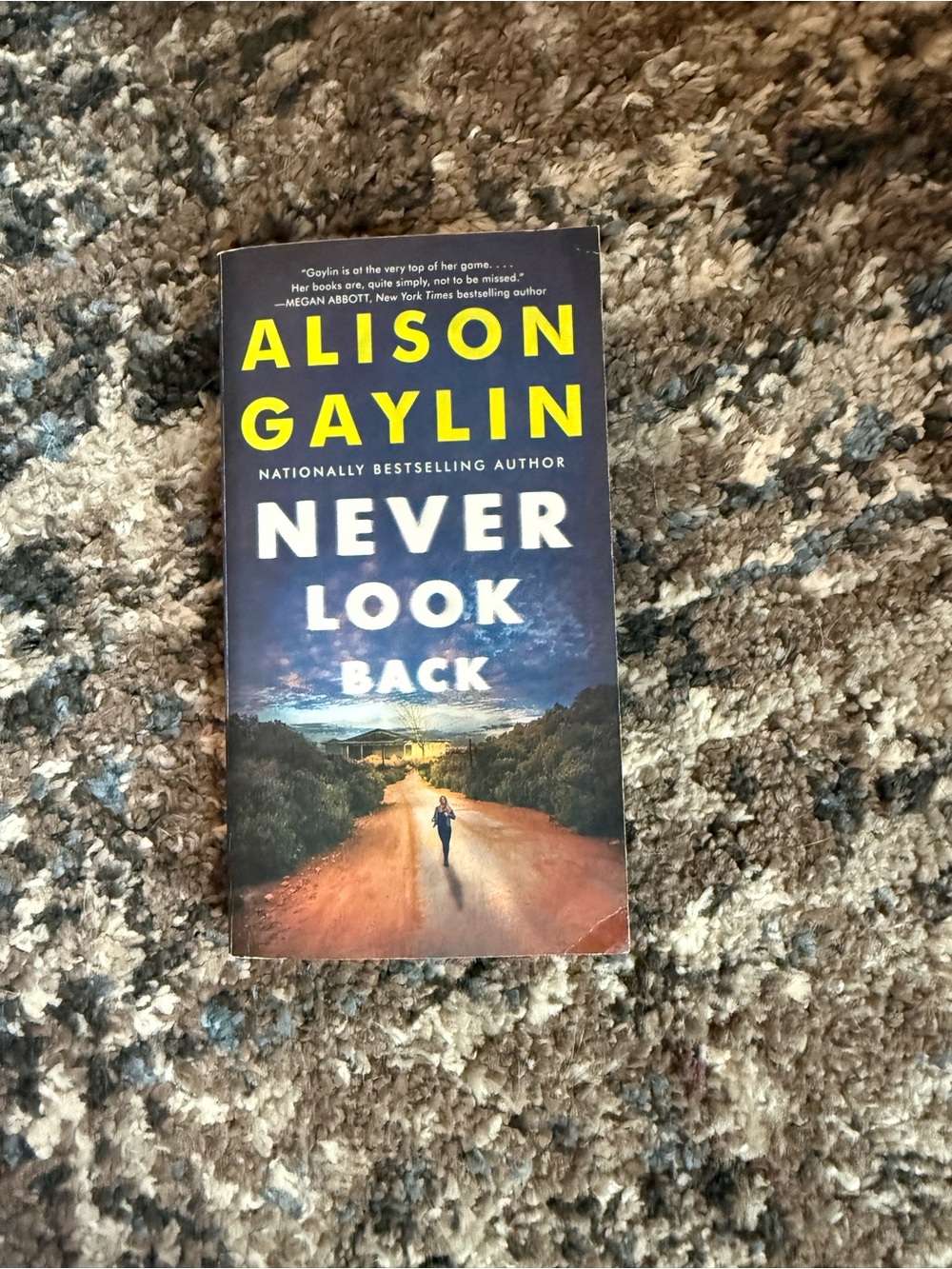 Alison Gaylin "Never Look Back" - Dark Blue & Yellow Paperback
